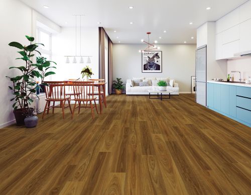 Tempess Western Spotted Gum W1